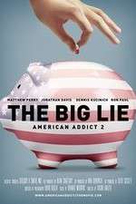 Watch American Addict 2 The Big Lie Zmovies