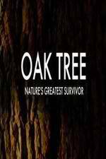 Watch Oak Tree Natures Greatest Survivor Zmovies