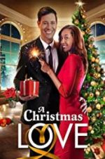 Watch A Christmas Love Zmovies