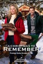 Watch A Christmas to Remember Zmovies