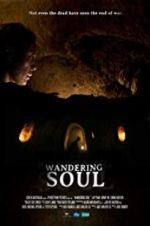 Watch Wandering Soul Zmovies