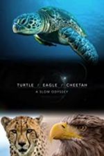 Watch Turtle, Eagle, Cheetah: A Slow Odyssey Zmovies