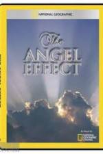 Watch National Geographic Explorer - The Angel Effect Zmovies