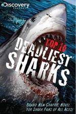 Watch National Geographic Worlds Deadliest Sharks Zmovies