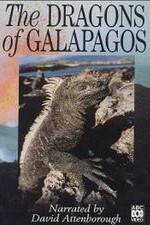 Watch The Dragons of Galapagos Zmovies
