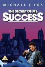 Watch The Secret of My Succe$s Zmovies