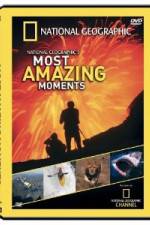 Watch National Geographic's Most Amazing Moments Zmovies