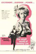 Watch The Small World of Sammy Lee Zmovies