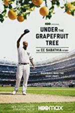 Watch Under the Grapefruit Tree: The CC Sabathia Story Zmovies