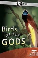 Watch Birds Of The Gods Zmovies