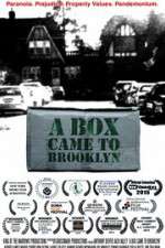Watch A Box Came to Brooklyn Zmovies