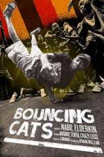 Watch Bouncing Cats Zmovies