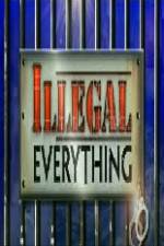 Watch Illegal Everything 2012 Zmovies