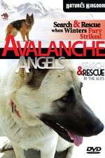 Watch Avalanche Angels Zmovies