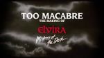 Watch Too Macabre: The Making of Elvira, Mistress of the Dark Zmovies