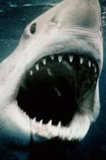 Watch Sharkmania: The Top 15 Biggest Baddest Bloodiest Bites Zmovies