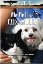 Watch Why We Love Cats And Dogs Zmovies