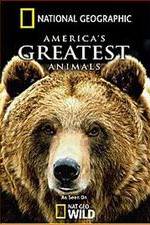 Watch America's Greatest Animals Zmovies