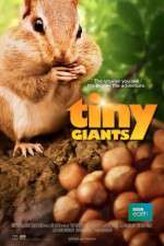 Watch Tiny Giants 3D Zmovies