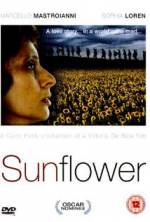 Watch Sunflower Zmovies