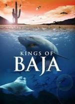 Watch Kings of Baja Zmovies