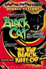 Watch The Black Cat Zmovies