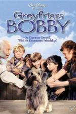 Watch Greyfriars Bobby The True Story of a Dog Zmovies