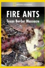 Watch National Geographic Fire Ants: Texas Border Massacre Zmovies