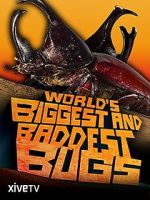 Watch World\'s Biggest and Baddest Bugs Zmovies