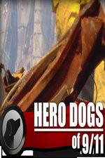 Watch Hero Dogs of 911 Documentary Special Zmovies