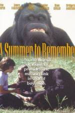 Watch A Summer to Remember Zmovies