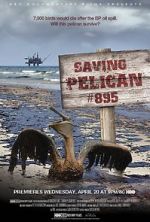 Watch Saving Pelican 895 (Short 2011) Zmovies