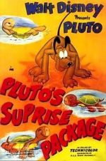 Watch Pluto\'s Surprise Package Zmovies
