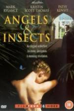 Watch Angels and Insects Zmovies