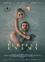 Watch A Perfect Enemy Zmovies