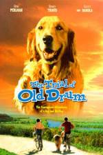 Watch The Trial of Old Drum Zmovies