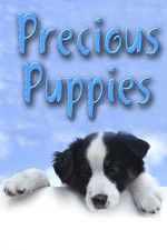 Watch Precious Puppies Zmovies