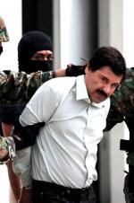 Watch The Rise and Fall of El Chapo Zmovies