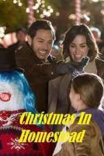 Watch Christmas in Homestead Zmovies