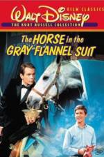 Watch The Horse in the Gray Flannel Suit Zmovies