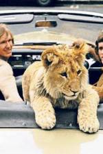 Watch The Lion Cub from Harrods Zmovies