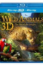 Watch Wild Animals - The Life of the Jungle 3D Zmovies