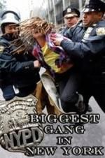 Watch NYPD: Biggest Gang in New York? Zmovies