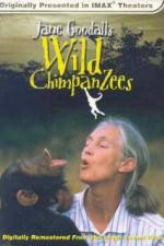 Watch Jane Goodall's Wild Chimpanzees Zmovies