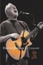 Watch David Gilmour in Concert - Live at Robert Wyatt's Meltdown Zmovies
