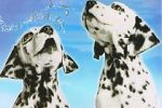 Watch 101 Dalmatians Sing Along Zmovies