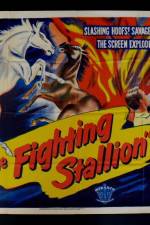 Watch The Fighting Stallion Zmovies