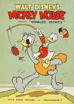 Watch Donald\'s Ostrich (Short 1937) Zmovies