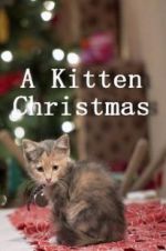 Watch A Kitten Christmas Zmovies