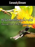 Watch Hummingbirds Jewelled Messengers Zmovies